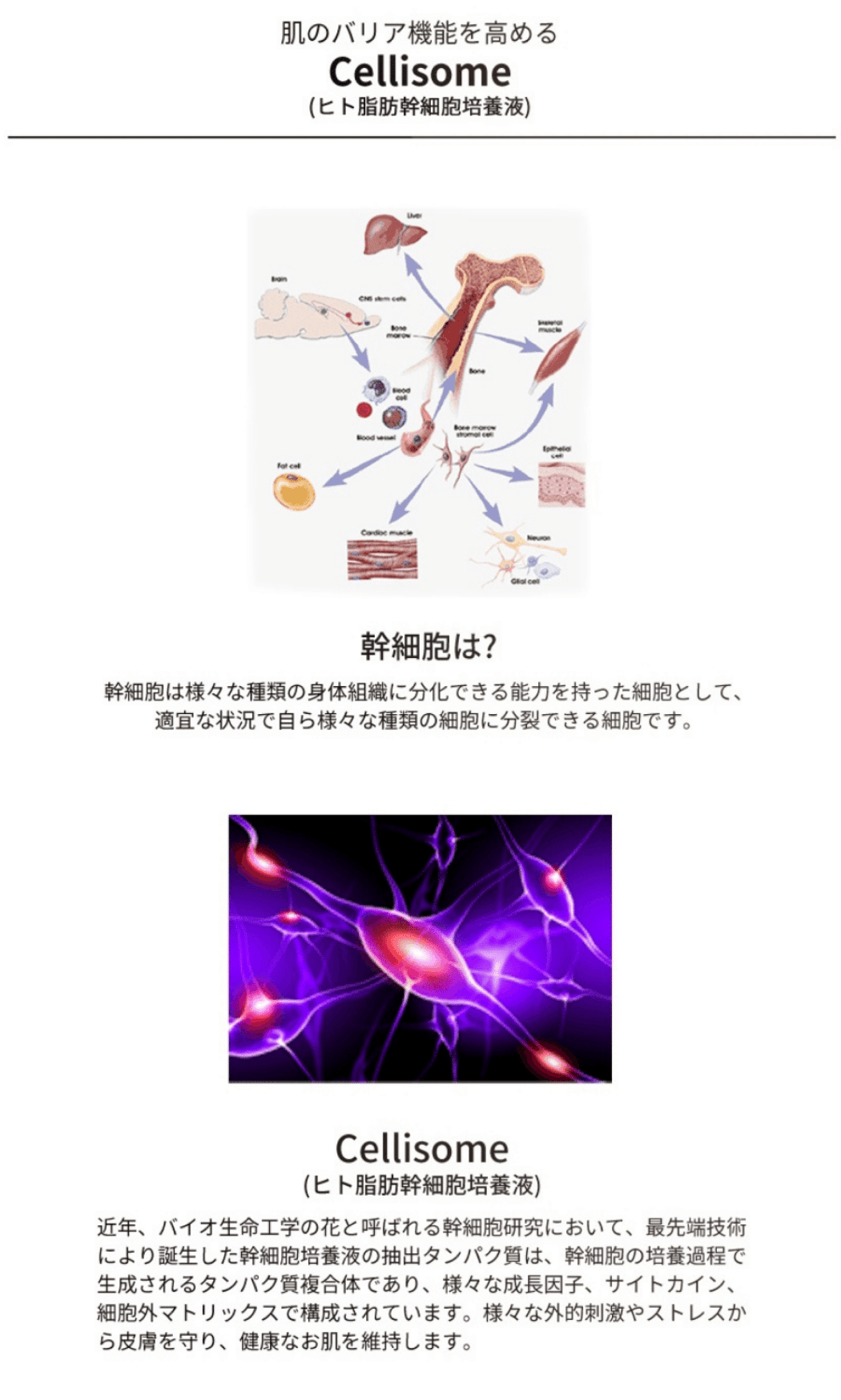 cellisome